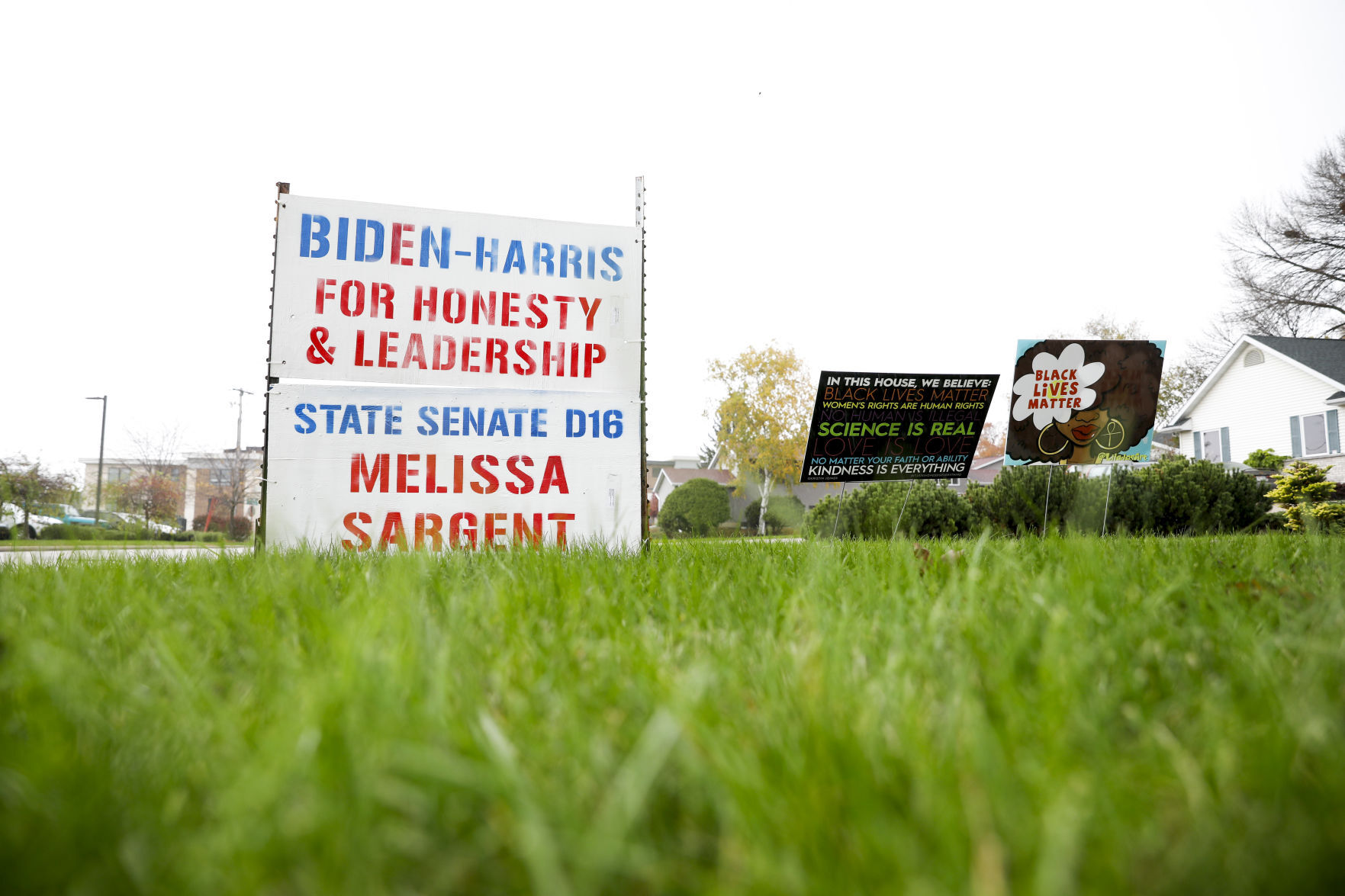 election, voting, voter, campaign, biden, melissa sargent, blm, black lives matter, liberal, democrat